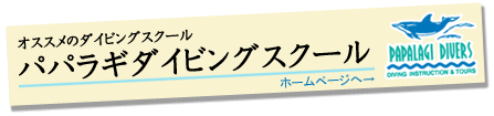 IXX̃_CrOXN[AppM _CrOXN[z[y[W