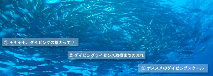 _CrO̖͂āH@_CrOCZX擾܂ł̗@߂̃_CrOXN[